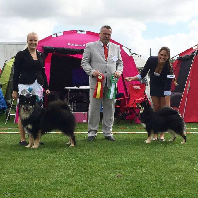 avanti-9-manader-bim