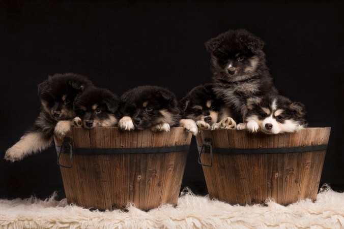 fullformat (17 av 17)