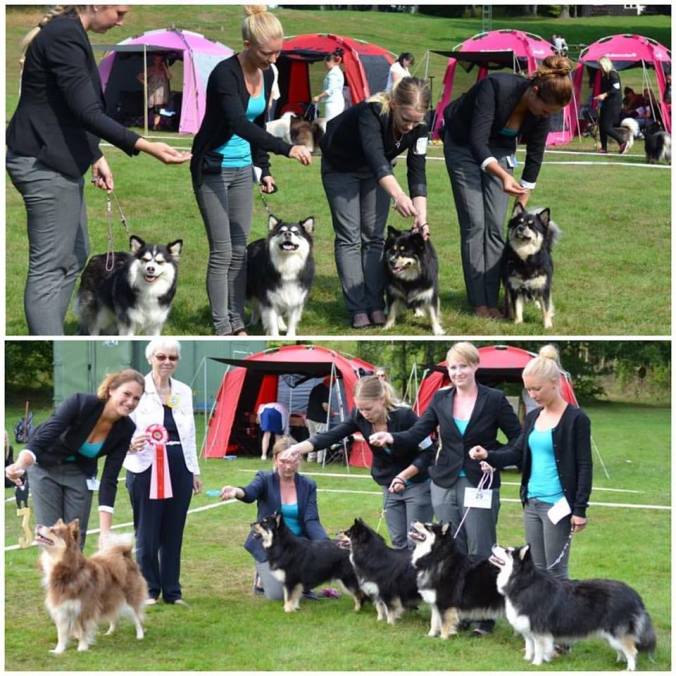 14203097_10157356191280265_2913915347349683921_n