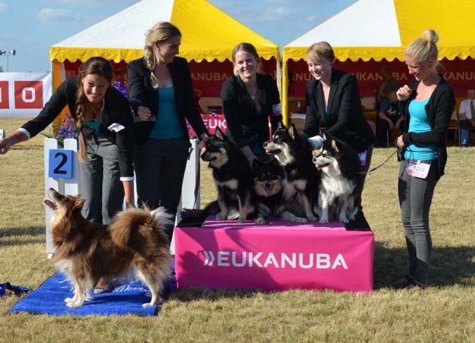 14212627_10157348621170265_3205350813475798591_n