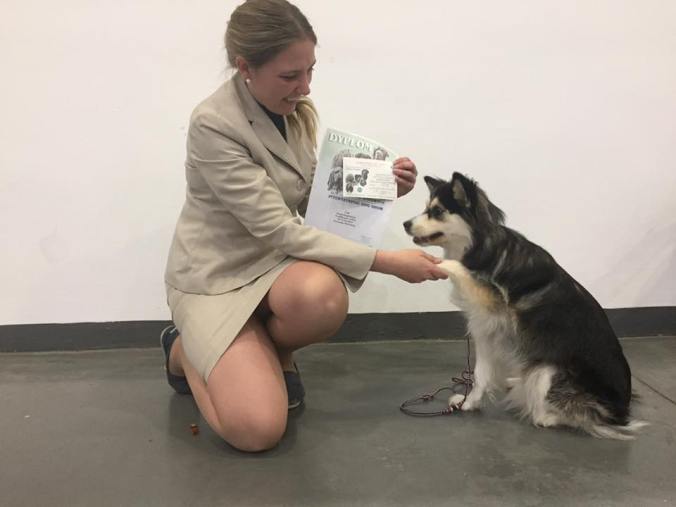 aura-polsk-juniorvinnare-2016