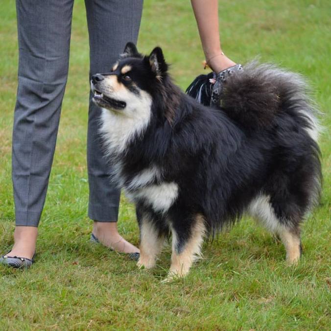 texas-10-manader-sjobo