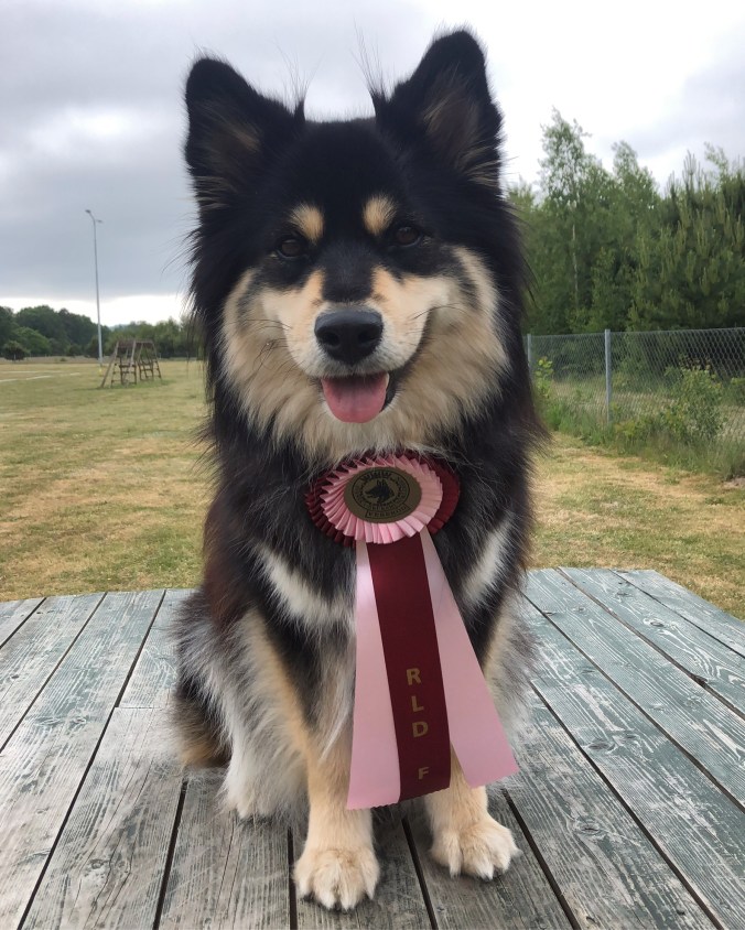 22B7D73B-E702-4920-8720-6FC5F2762920