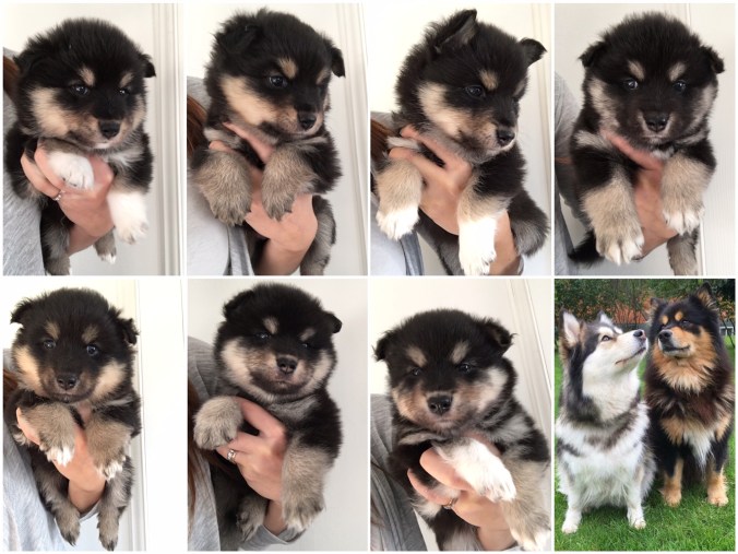 699607E0-3EC0-4A07-819C-0CE20C9774D8