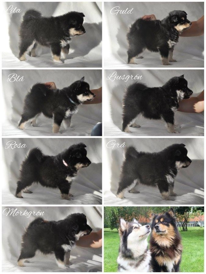 71256740-1C90-4A37-9DA5-43888D60774D