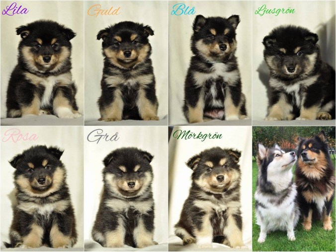 76941282-8BB1-4D98-A72E-C4FCF0AA14AE