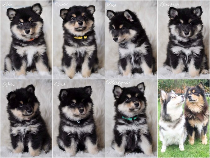 A1B52A32-A820-4820-AA24-80B966F565F5