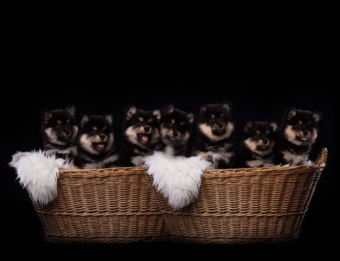 B1A04CE9-8FBB-429E-AD04-EBFCC7AE6244