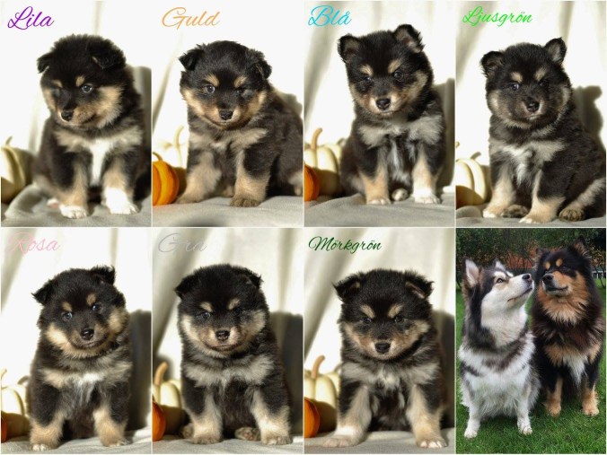 C7AC89ED-D3DE-4E7E-8DDA-DF666BFCCADF