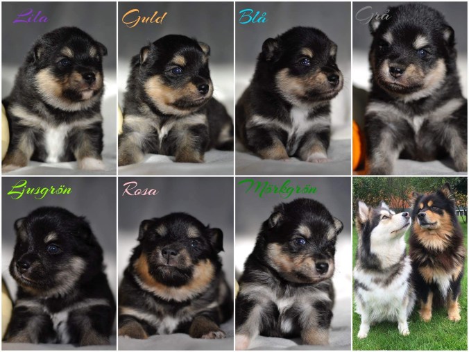 D0DD54F6-C201-4A6B-8185-42006D036056