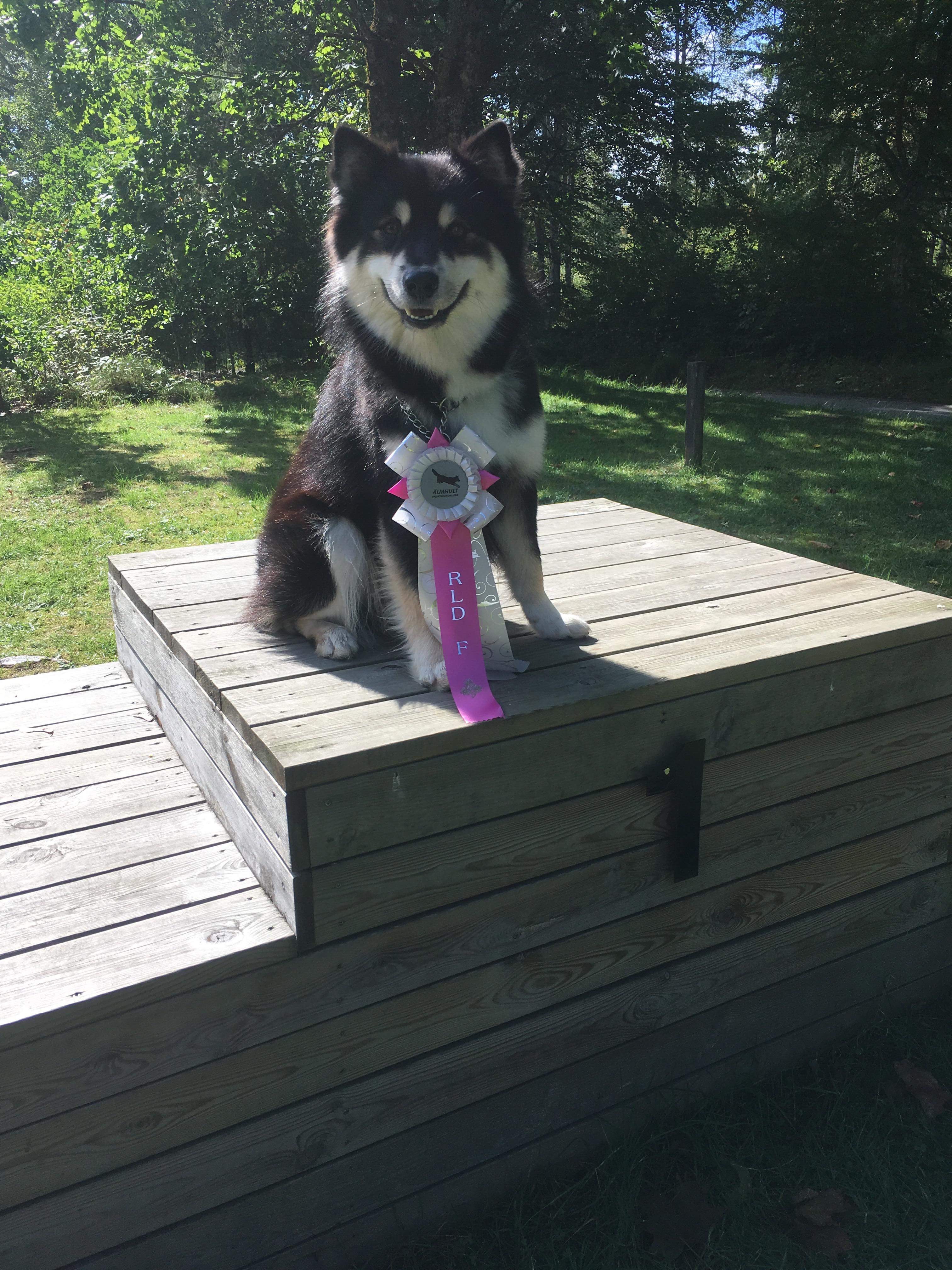 9DECBD22-ADA4-44E0-A24A-5D1EC0CCB650