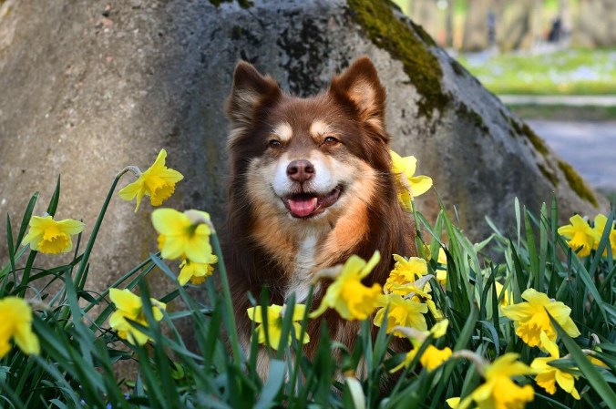 16622776-163E-474D-AB21-658B63FB031E