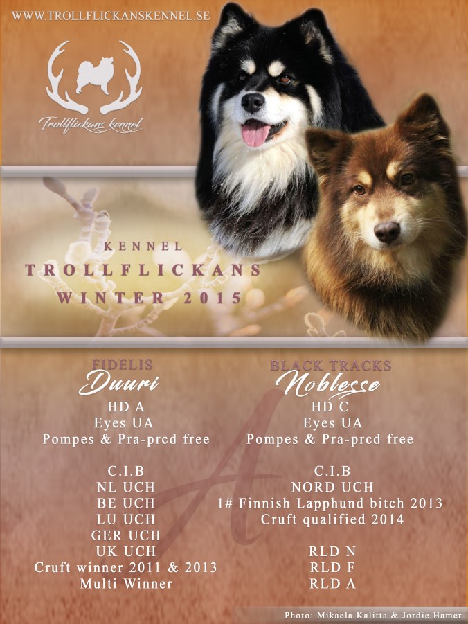 Usko&amp;Noblesseannons2015