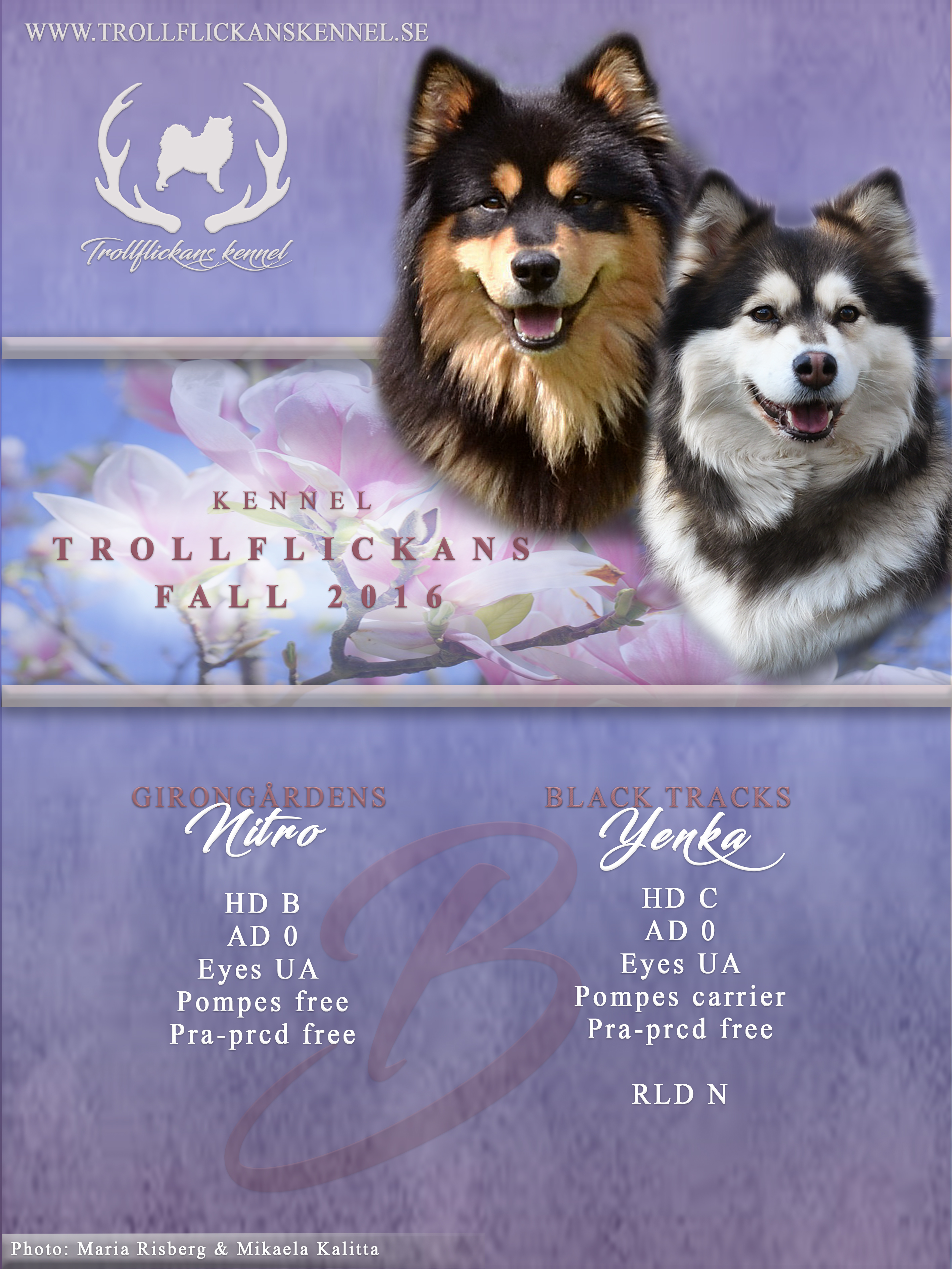 Yenka&NitroAnnons2016