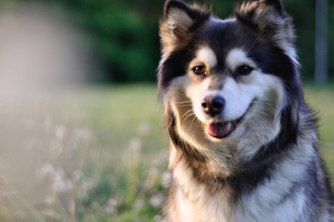 14765a1e-390f-4e00-9d76-96efe792faff