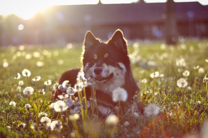 395c6b9a-5b13-45f9-9eab-2fc2ab39b1c3