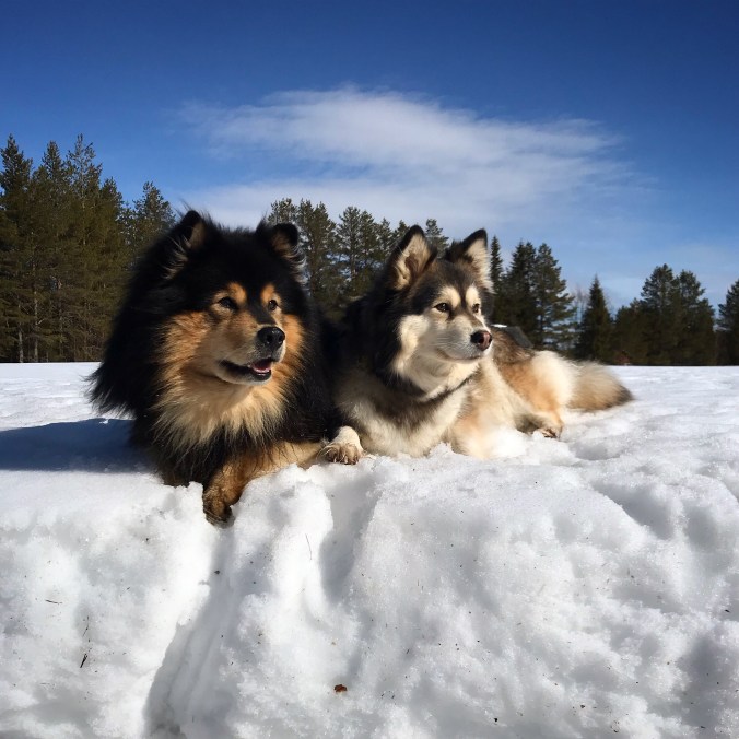 f22f1de4-bde3-46c6-9536-0972c1a27a13