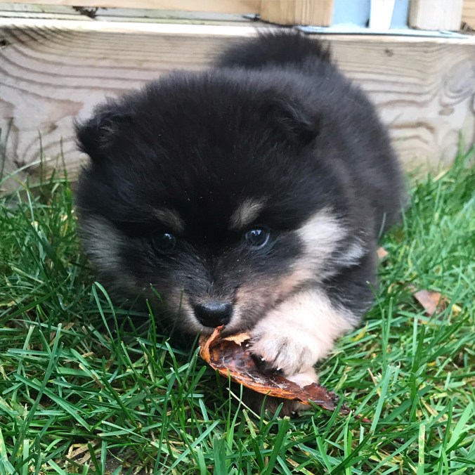 76a9258c-fdce-4836-b5a3-078d3a63e4ef