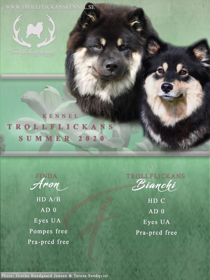 chia&amp;aronannons2020 (kopia)