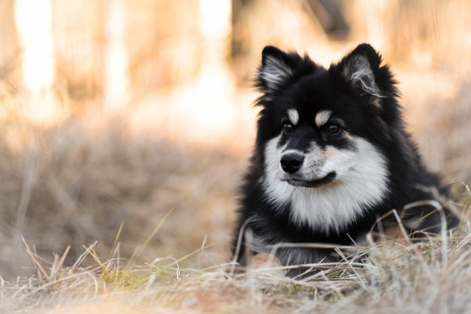 Järavallen 21.03.2020-335