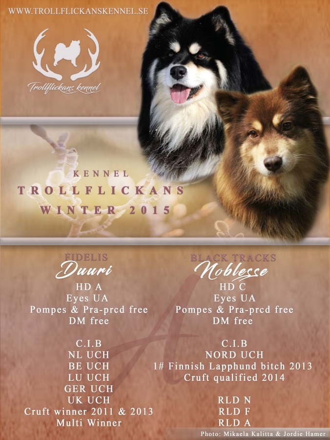 Usko&Noblesseannons2015